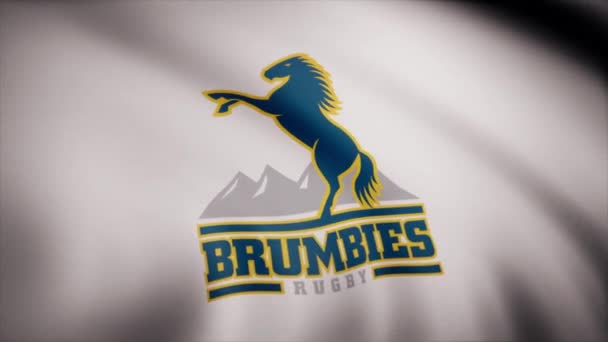 Флаг Rugby Brumbies Размахивает Прозрачным Фоном Крупный План Размахивания Флагом — стоковое видео