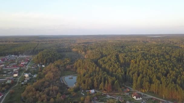 在空中俯瞰着森林里的池塘 秋天的时候 自然与景观 森林与池塘的鸟瞰 秋天的树叶 绿叶与荒野中的树木 — 图库视频影像