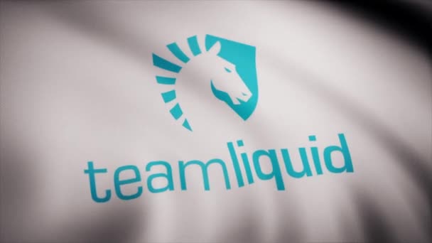 Cybergaming Team Liquid Flagg Vinker Gjennomsiktig Bakgrunn Nærbilde Bølgende Flagg – stockvideo