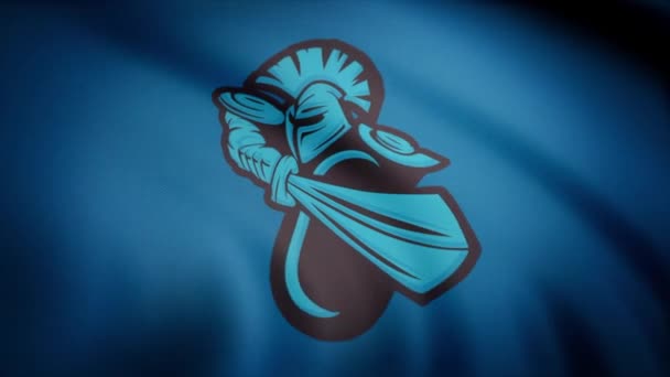 サイバーグラム ニュービー旗が透明な背景に振り回されている シームレスなループ ニュービー サイバーグラムのロゴを使用したフラグのクローズアップ アニメーション — ストック動画