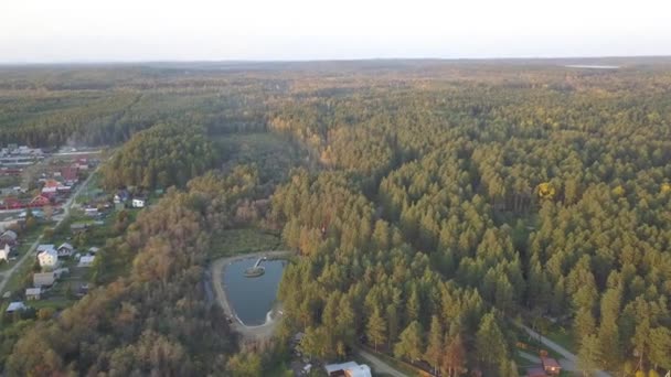 Vista Aérea Del Estanque Bosque Otoño Naturaleza Paisaje Vista Aérea — Vídeo de stock