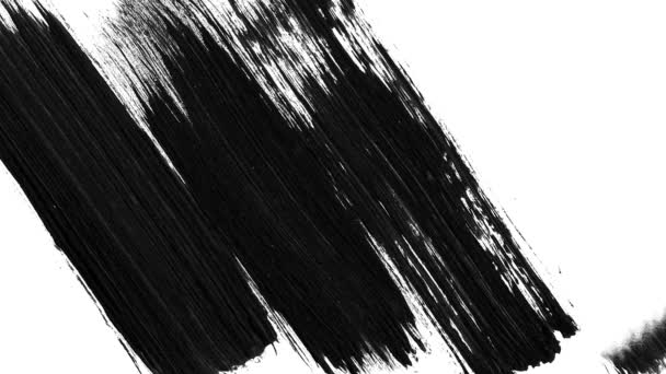 Pincelada Abstracta Del Pincel Fondo Transición Blanco Negro Animación Salpicaduras — Vídeo de stock