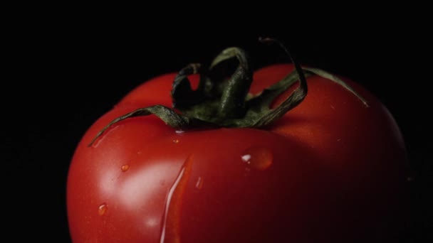 Ścieka Pomidor Ramki Zbliżenie Czerwony Pomidor Krople Wody Czarnym Tle — Wideo stockowe