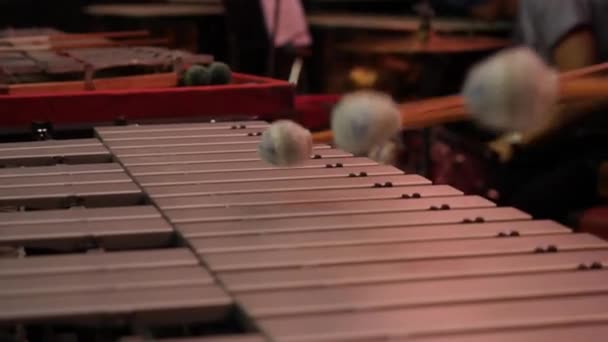 Mann Spielt Xylophon Mit Netten Drumstick Menschliche Hände Die Ein — Stockvideo