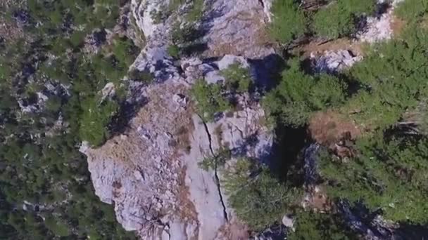 Vídeo Aéreo Montanhas Vista Superior Atingido Pedra Pinheiros Vista Superior — Vídeo de Stock