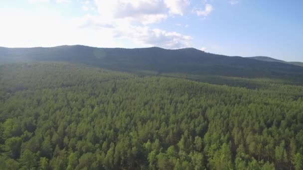 Uitzicht Vanuit Lucht Het Groene Bos Rivier Prachtige Panoramische Video — Stockvideo