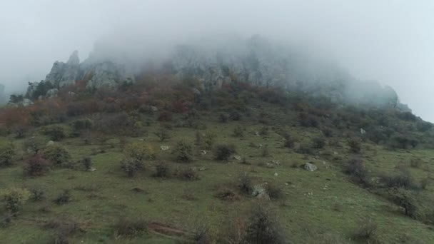 Hermosas Cordilleras Árboles Espesa Niebla Paisaje Otoñal — Vídeo de stock