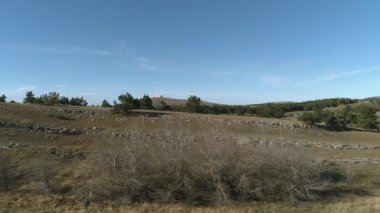 Mavi gökyüzü ve bulutlar karşı yeşil tepeler ile güzel iğne yapraklı ağaçlar. Fütüristik binaları ile bir tepede görüntülemek