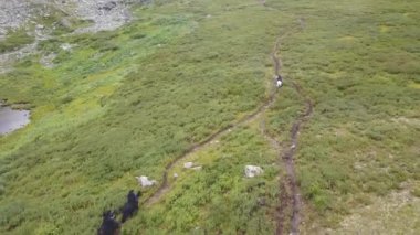 Chase Vadisi'nde, havadan görünümü sırtında. Küçük. At sırtında kovalamaca sahnesi.