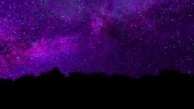 Samanyolu ağaçların arkasından görünür. Perseid Meteor yağmuru Bristlecone Samanyolu Timelapse. Gece gökyüzü animasyon.