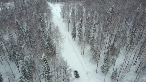 军事演习时在树林里 冬季森林中军用装甲运兵车的顶观 — 图库视频影像