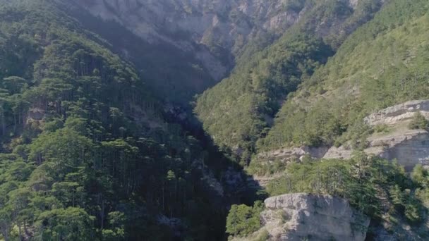 Πανέμορφο Τοπίο Των Βουνών Αεροφωτογραφία Του Ορεινού Δάσους — Αρχείο Βίντεο