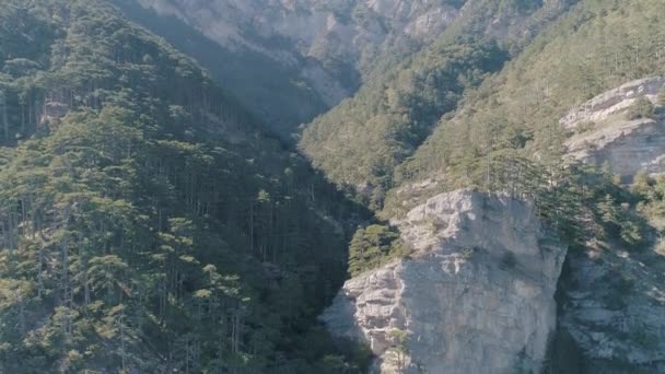 Schöne Berglandschaft Luftaufnahme Des Bergwaldes — Stockvideo