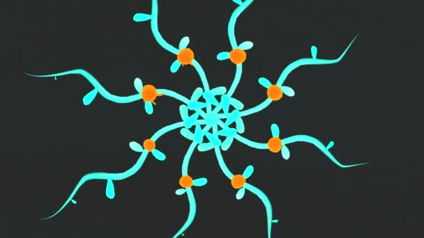 旋转的动画风格的雏菊 螺旋形向外在黑色的背景 种植植物动画及其对应的 — 图库视频影像