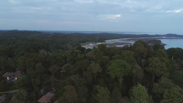 Перемещение Вперед Воздушный Вид Лесов Среди Набережных Мелких Бирюзовых Вод — стоковое видео