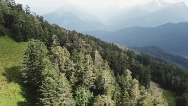 Widok Lotu Ptaka Góry Wybrzeżu Pokryte Lasem Sosnowym Widok Lotu — Wideo stockowe