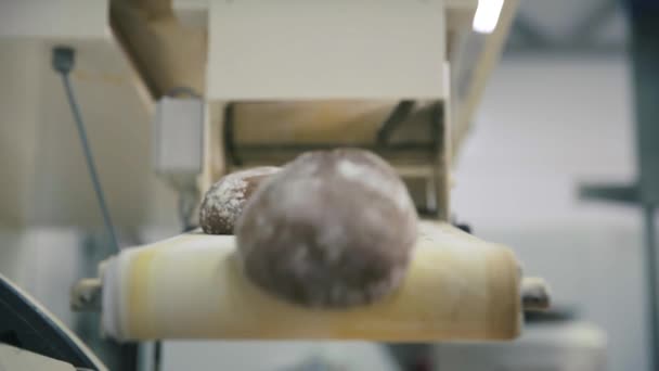 パン生産ライン シーン 食品工場のコンベア ベルト パン食品工場のラインを製造 ベルトコンベアでパンを一斤 — ストック動画