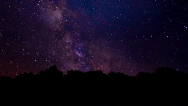 天の川が木の後ろから表示されます ペルセウス座流星群イガゴヨウ天の川タイムラプス 夜空アニメーション — ストック動画