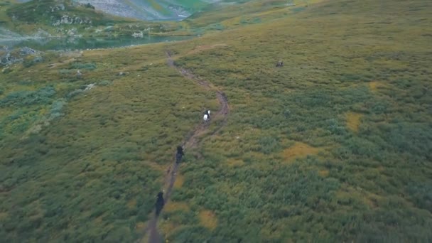 Chase Vadisi Nde Havadan Görünümü Sırtında Küçük Sırtında Kovalamaca Sahnesi — Stok video