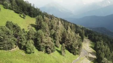 Deniz kenarı çam ormanı ile kaplı dağların havadan görünümü. Yaz yeşil ağaçlar ve dağ havadan görünümü.