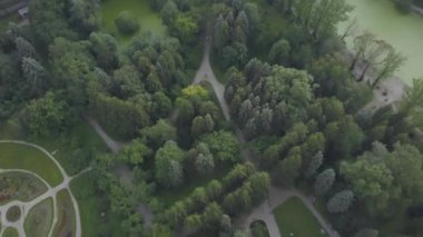 Hava manzarası, güzel şehir parkı manzarası. Yeşil şehir parkı. Şehrin ortasında güzel bir doğa. Meadow ve Park Gölü ile şehir manzarası yaz günü hava manzarası 4K
