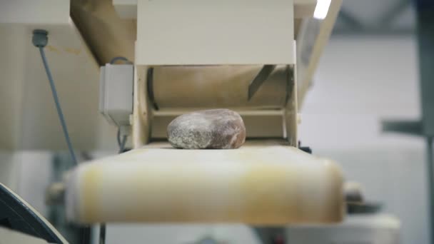 パン生産ライン シーン 食品工場のコンベア ベルト パン食品工場のラインを製造 ベルトコンベアでパンを一斤 — ストック動画