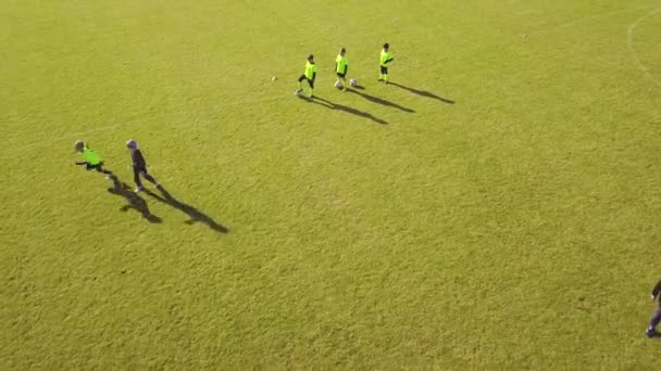 Vedere Aeriană Sportivilor Care Joacă Fotbal Formare Antrenament Exterior — Videoclip de stoc
