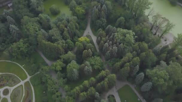 Vista Aerea Bellissimo Paesaggio Del Parco Cittadino Parco Verde Della — Video Stock
