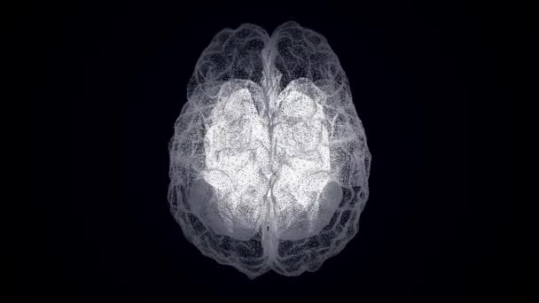 Holograma Cérebro Humano Cérebro Humano Feito Partículas Formadoras Sobre Fundo — Vídeo de Stock