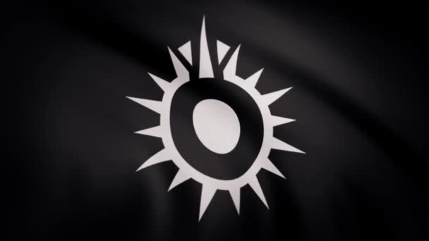 星球大战黑旗在透明的背景上飘扬 特写挥动着黑日标志的旗帜 无缝回圈 编辑动画 — 图库视频影像