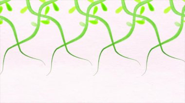 Şekil verilmiş papatyaların dönen animasyonları, pembe arka planda dışa doğru dönen spiraller. Karşılıklı olarak bitki animasyonu yetiştiriyorlar..