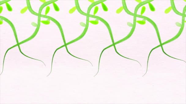 スタイリッシュなデイジーの渦巻くアニメーションは ピンクの背景に対して外側にスパイラルします 対応する植物アニメーションを育てる — ストック動画