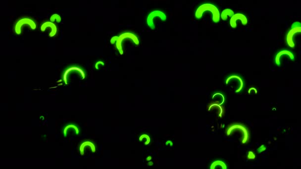 Malé Neonové Prstence Pohybují Vesmíru Design Neonové Kruhy Vibrují Prostoru — Stock video