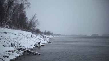 Karla kaplı güzel bir kışın kıyısı. Şarjör. Karlı kış gününde ağaçlı ve sopalı bir sahil. Bulutlu bir günde karla kaplı güzel göl kıyısı. 