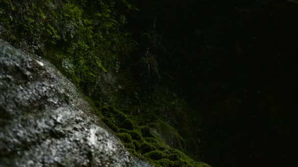 Düşen Damlalarıyla Yosunlu Dağ Yamacı Yaratıcı Karanlık Büyük Bir Mağaraya — Stok video