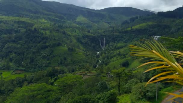 トロピカルマウンテンバレーの景色を眺めることができます アクション 緑の熱帯雨林と山と川がある 曇った夏の天候で森林と山々を持つ谷の美しい景色 — ストック動画