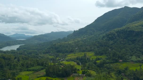 Tropik Dağ Vadisinin Manzarası Başla Dağları Nehirleri Olan Yeşil Yağmur — Stok video