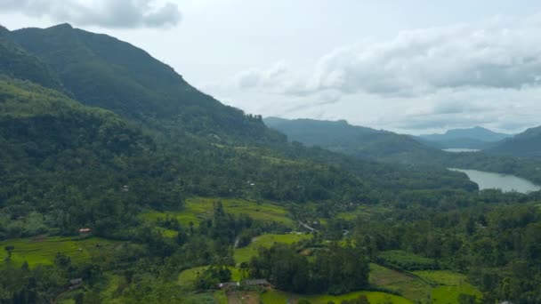 Vista Aérea Del Bosque Con Exuberante Vegetación Tropical Acción Montañas — Vídeos de Stock