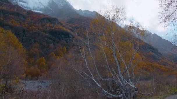 在多雾的天气里 蒙古的岩石悬崖上长满了树木 秋天的山和雪峰 — 图库视频影像