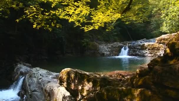 Malebný Letní Přírodní Rybník Tropickém Lese Kreativní Malý Vodopád Džungle — Stock video