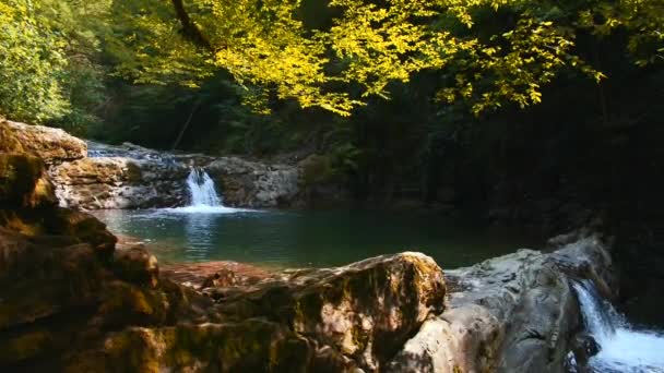 Мальовничий Літній Природний Ставок Тропічному Лісі Креативний Малий Водоспад Джунглі — стокове відео