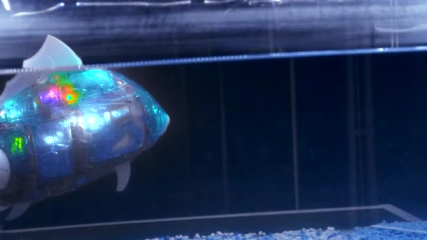 Рыба Робот Аквариуме Сми Искусственная Версия Рыб Роботов Светящихся Воде — стоковое видео
