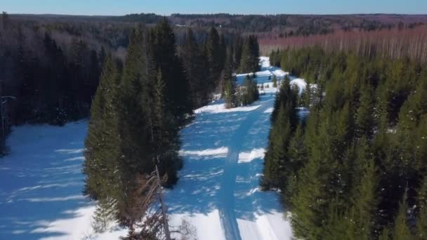 冬日的森林里阳光灿烂 在绿树成荫的雪地上 一条长路的空中景象 — 图库视频影像