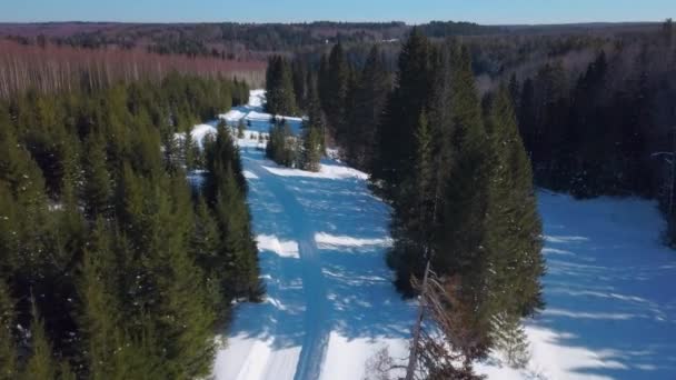 Ovanifrån Snöig Väg Barrskog Klipp Vacker Snöväg För Terrängkörning Skog — Stockvideo