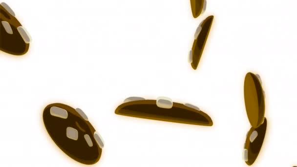 Animace Padajících Cookies Pohyb Létající Cookies Bílém Pozadí Animaci Lahodná — Stock video