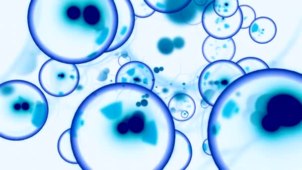 分子バブルを胚で移動する デザイン 体の流れに感染した泡 スペース内の充電された分子を移動するアニメーション — ストック動画