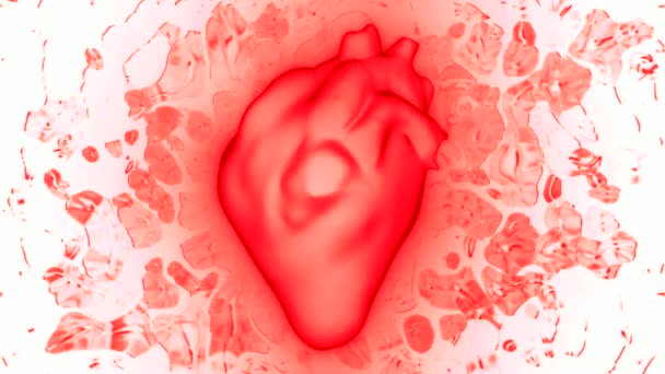 Herzschlag Des Menschen Koronare Durchblutung Bewegung Wissenschaftliche Und Gesundheitsbezogene Animation — Stockvideo