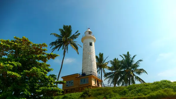 stock image A lighthouse in the middle of a tropical jungle. Action. Green vegetation at summer resort