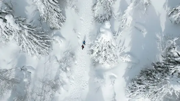 Aerial top view of people hiking on winters trail. Clip. Rural road covered by snow, landscape of winter nature