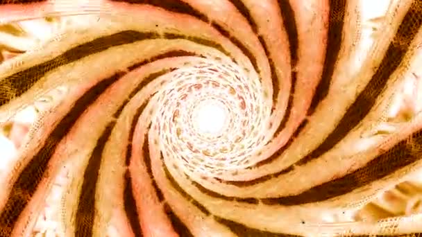 Espiral Fondo Con Elementos Fractales Moción Hermosa Espiral Mandala — Vídeo de stock